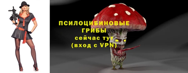 синтетический гашиш Гусиноозёрск