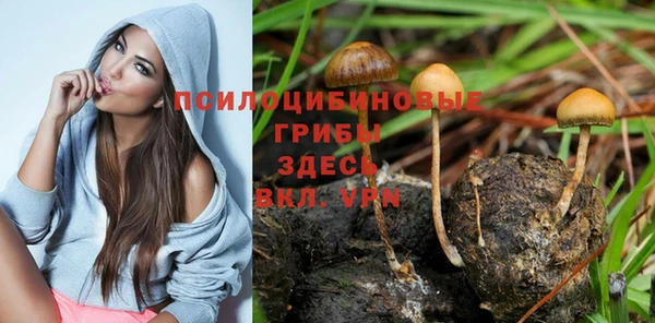 марки nbome Михайловка