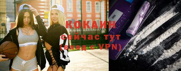 ALPHA-PVP Гусев